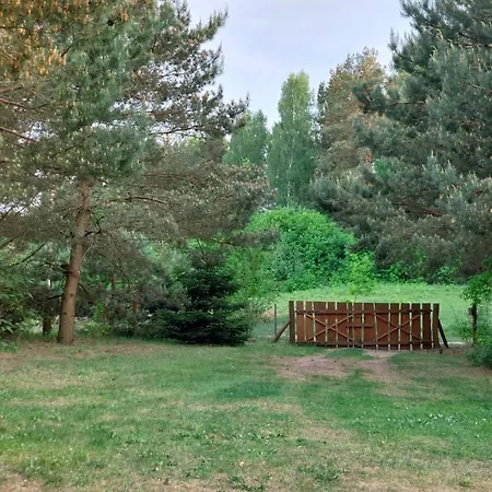 Chatka Miedzy Sosnami * Lidzbark Warmiński